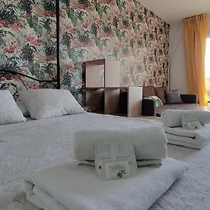 https://carolina-apartment.in-canary-islands.com